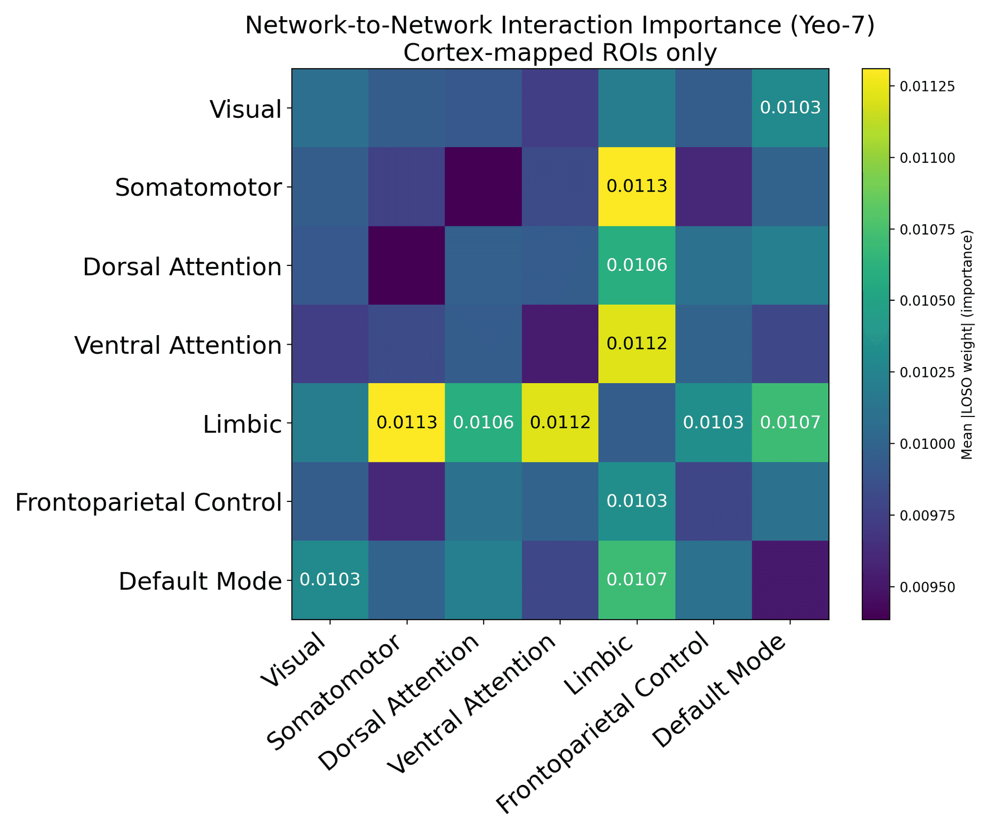 Brain connectome visualization showing influential functional connections